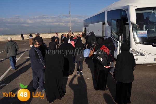 mo3tmreenu sheta2 (11).JPG